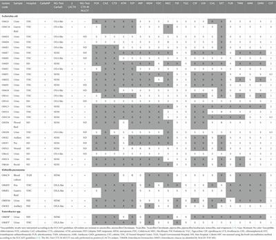 The emergence of carbapenemase-producing Enterobacterales in hospitals: a major challenge for a debilitated healthcare system in Lebanon